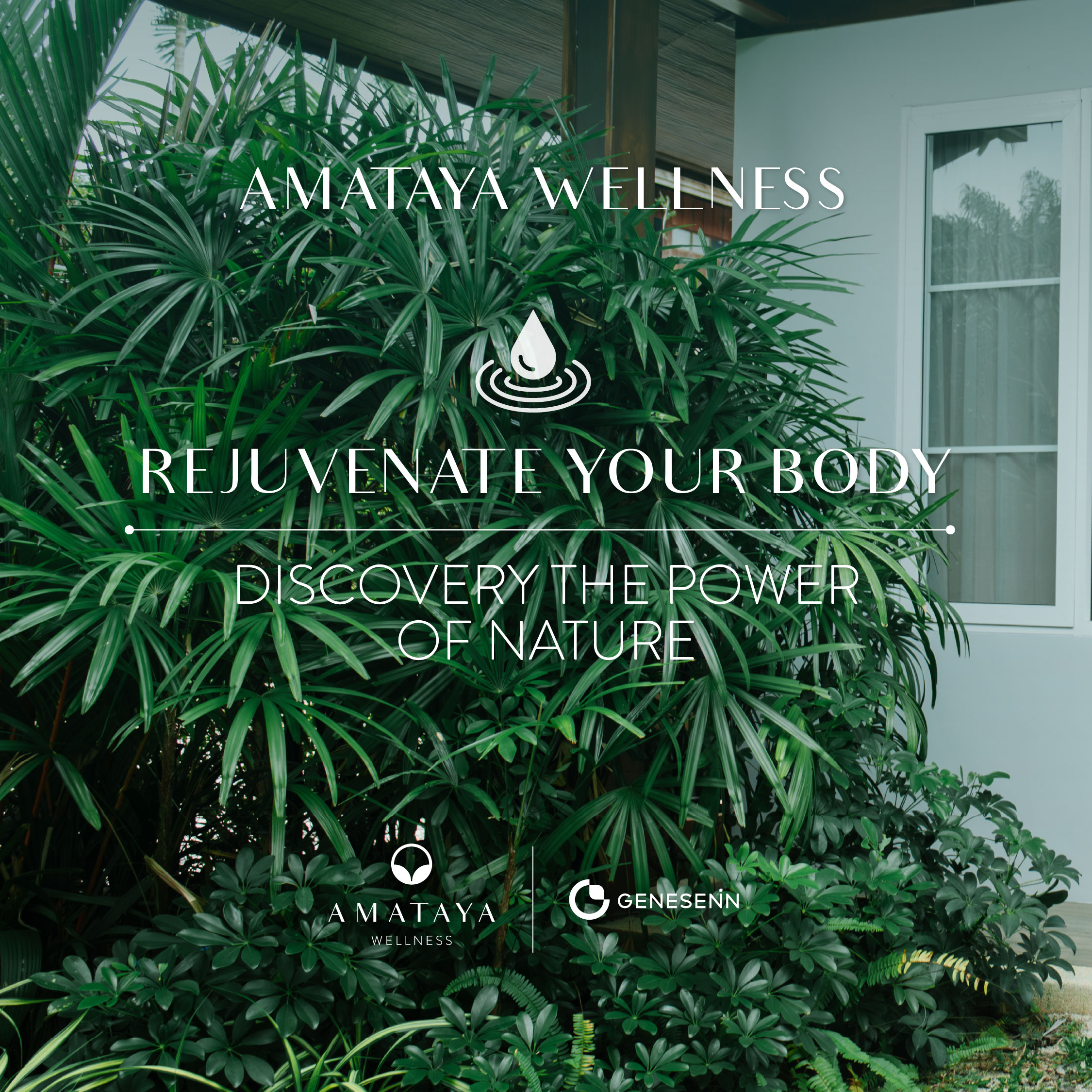 Amataya Wellness-01